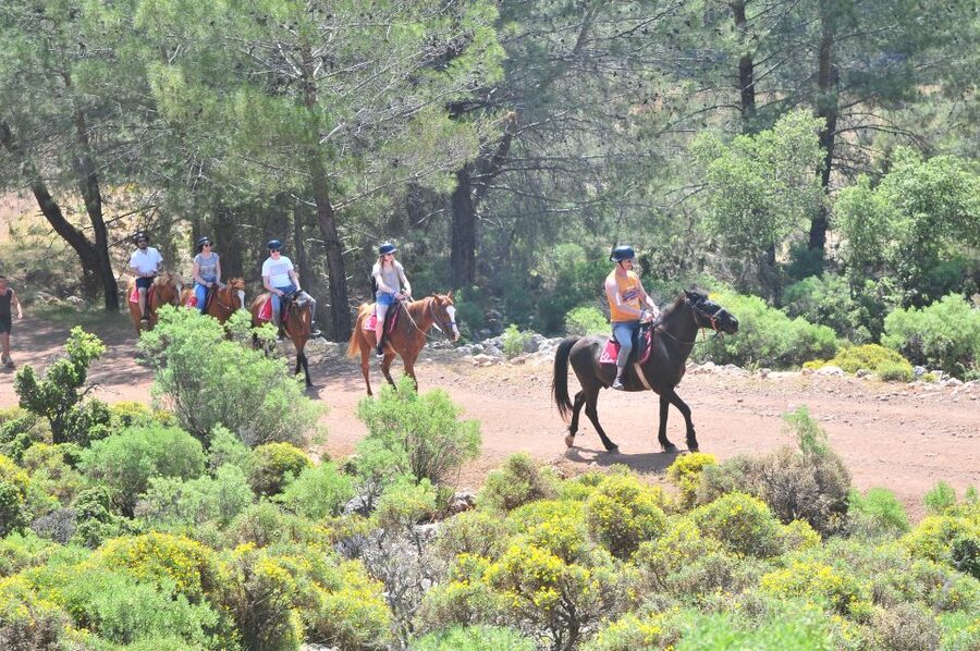 From Fethiye: Horse Riding Adventure - Meeting your horse and learning the basics