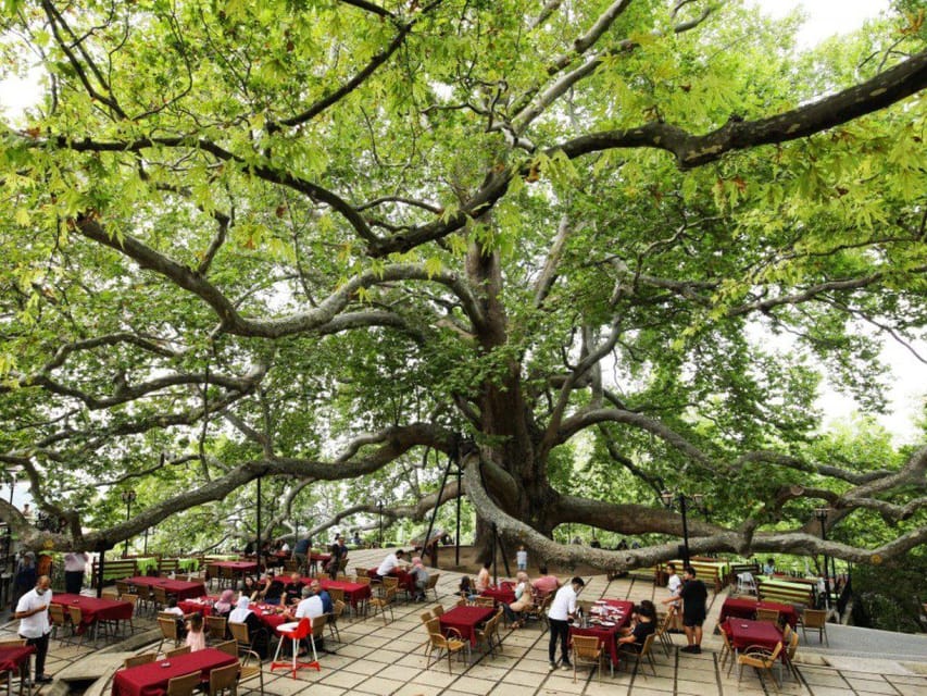 From Istanbul: Bursa Day Trip with Lunch and Transfers - Bursa’s Green Mosque and Ottoman beginnings