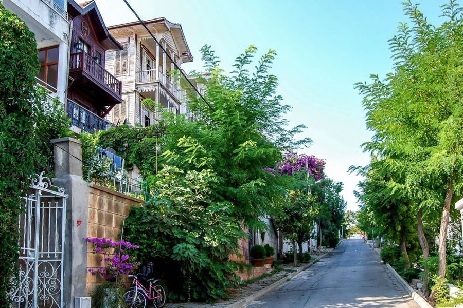 From Istanbul: Full-Day Princes Island Tour with Lunch - The first cruise across the Sea of Marmara