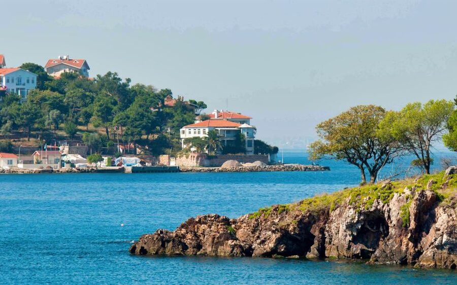 From Istanbul: Full-Day Princes Island Tour with Lunch - Lunch aboard the boat in summer
