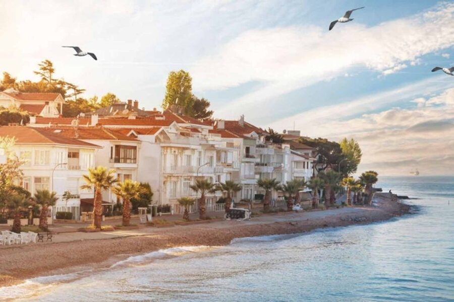 From Istanbul: Full-Day Princes Island Tour with Lunch - The optional shopping stop