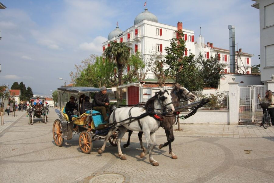From Istanbul: Full-Day Princes Island Tour with Lunch - The morning transfer and meeting point