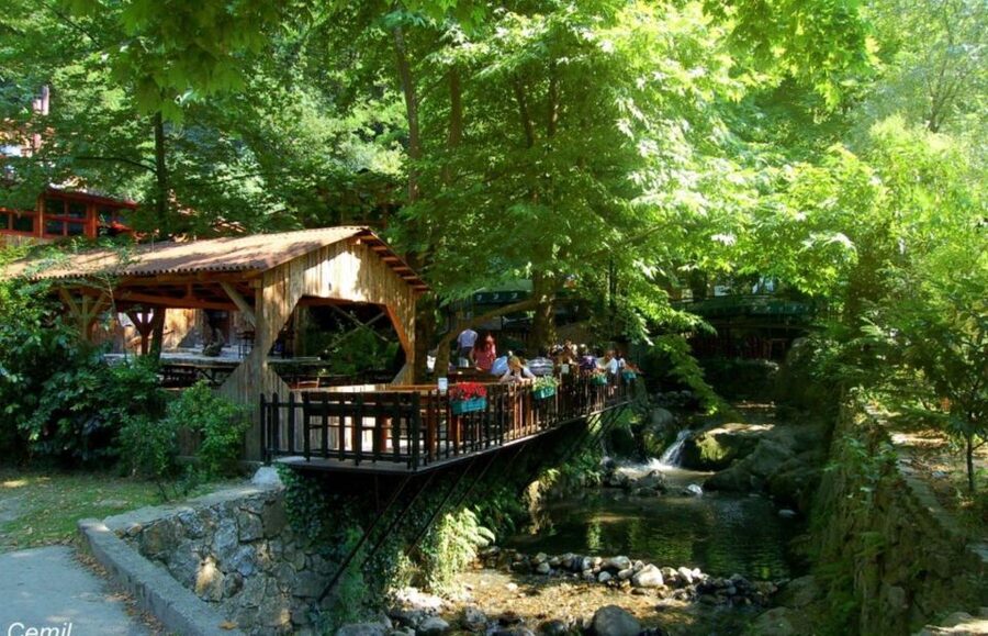 From Istanbul: Guided Day Trip to Sapanca and Masukiye - Sapanca Zoo adds variety, with an extra cost question