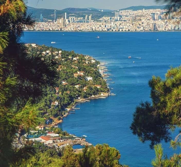 From Istanbul: Princes Island Tour with 2 Islands - Should you book the Princes Island tour?