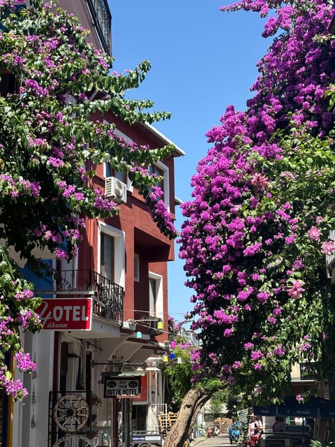 From Istanbul: Princess Islands Guided Tour - Comfort, language, and accessibility