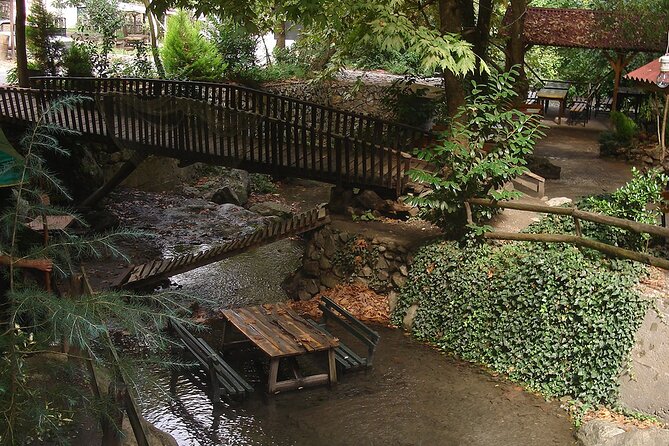 From Istanbul: Sapanca and Masukiye Day Trip with Lunch - Darıca Zoo, Lion Park, or aquarium