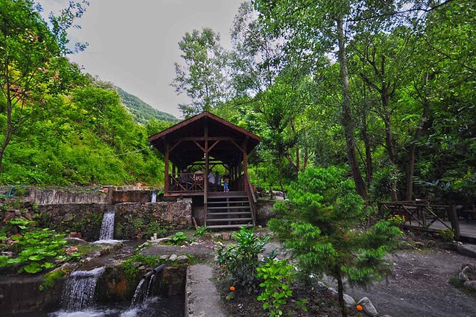 From Istanbul: Sapanca and Masukiye Day Trip with Lunch - Mahmudiye Village and the paid activities