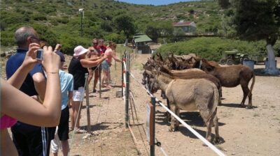 Full Day Boat Trip around Cesme with BBQ Lunch