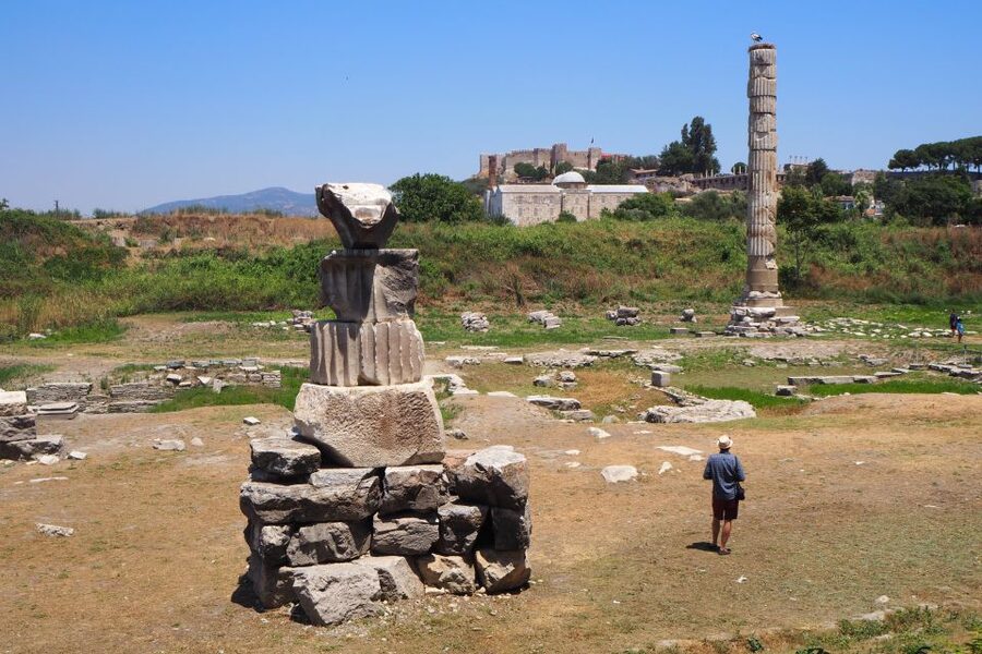 From Kusadasi Port: Ephesus Full-Day Private Trip - The Terrace Houses and the limits of your time