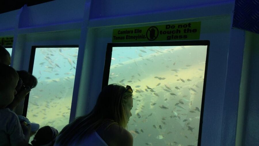 From Marmaris: Day Trip by Glass Bottom Semi Submarine - How the $33 price holds up