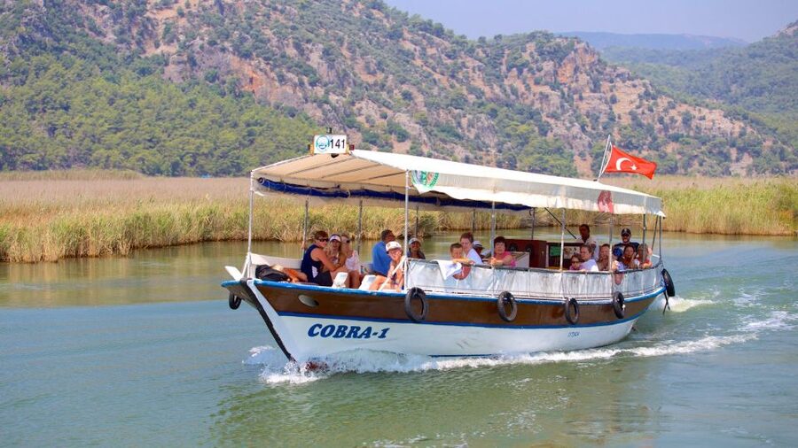 From Marmaris: Day Trip to Dalyan with Lunch - From Marmaris to Köyceğiz by 8:30 AM