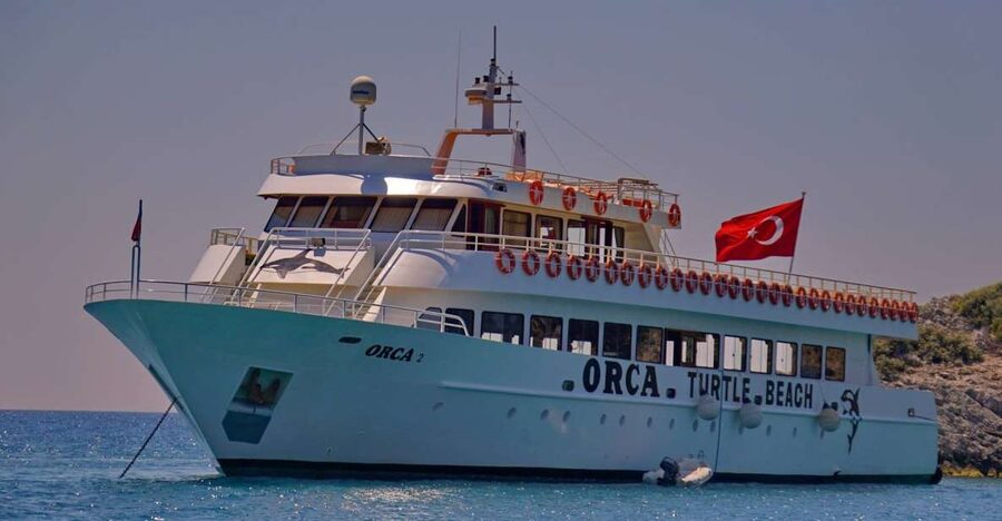 From Marmaris: Day Trip to Dalyan with Lunch - Thermal springs, mud baths, and the first reality check