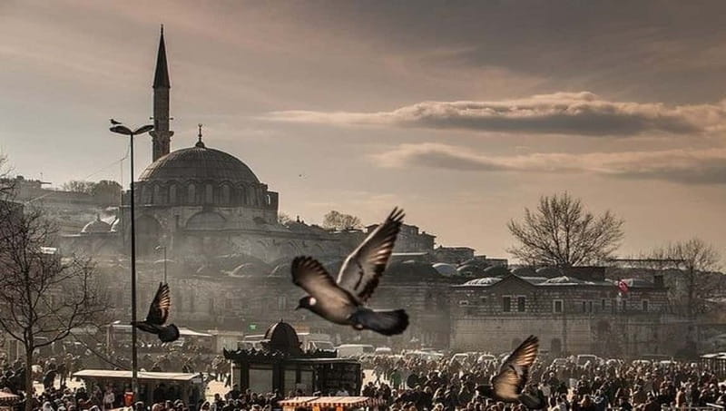 Full Day Istanbul 1, 2 or 3-Day Private City Guided Tour - Day one: the great monuments of Sultanahmet