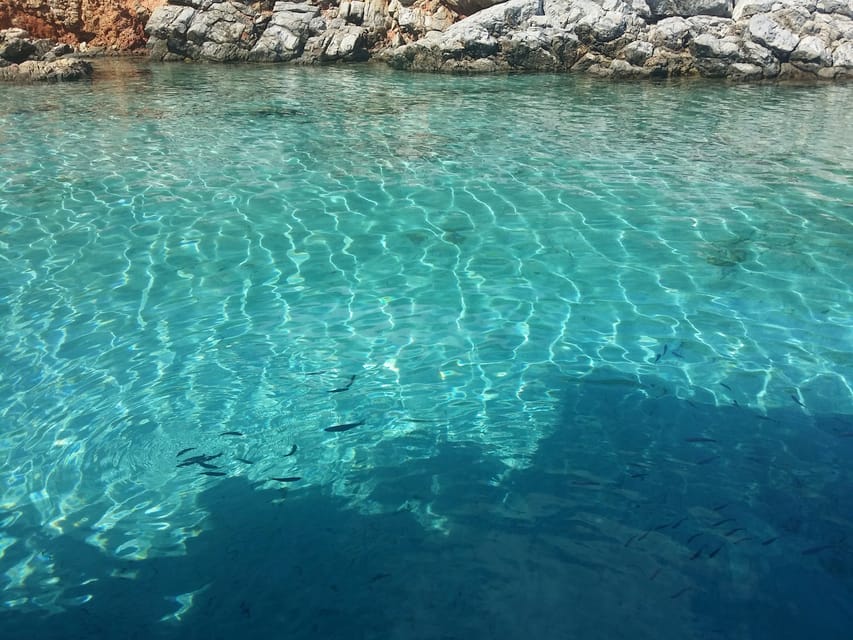 Full-Day Orak Island Boat Trip from Bodrum - Rabbit Bay: the final chance to swim