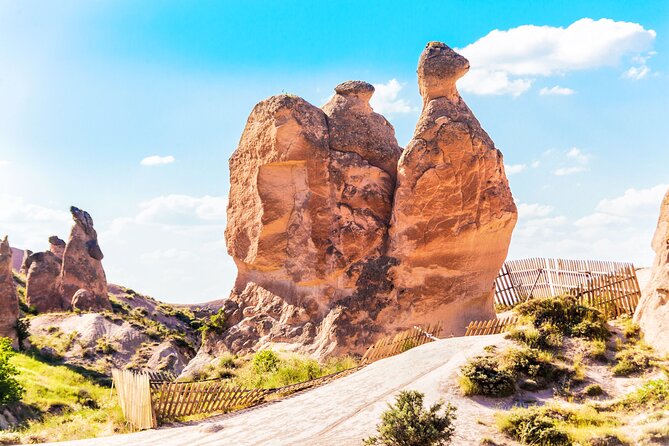 Full-Day Private Tour of Cappadocia's Highlights (Car&Guide ) - Pasabag shows Cappadocia’s fairy chimneys up close