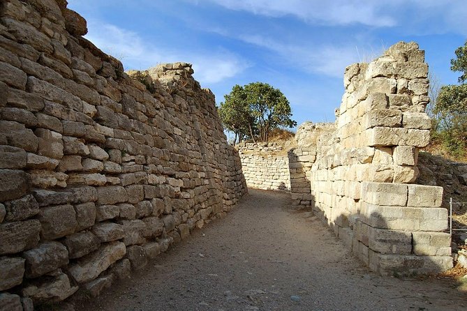 Full Day Troy & Gallipoli Tour ( From Canakkale ) - Troy: three hours among legend and ruins