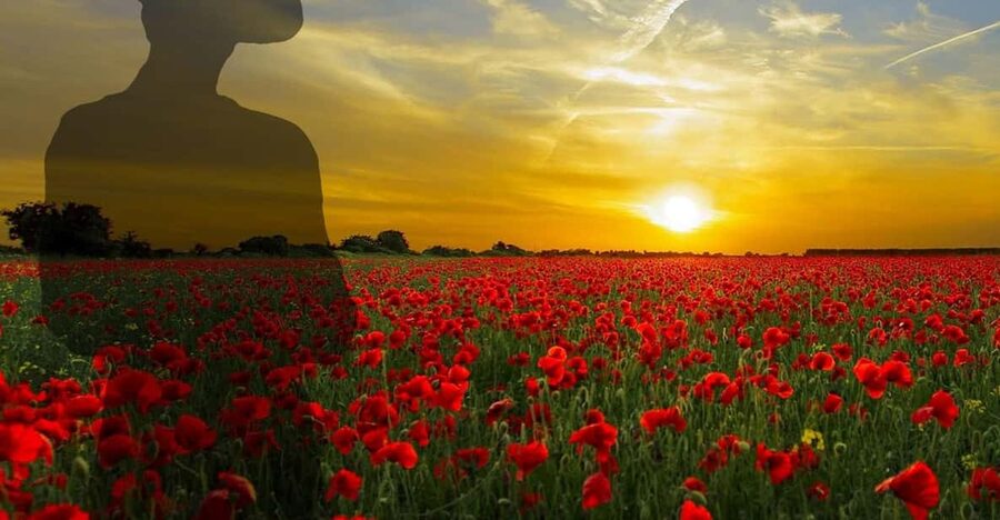Gallipoli Full-Day Tour from Istanbul - Is the $154 price good value?