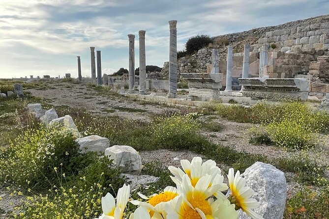 Half Day Guided Knidos Ancient City Tour - Price and group size: is $144.18 fair?