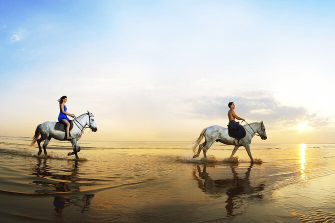 Horse Riding in Antalya,Belek,Lara Beach(Sunrise,Sunset,Day Time) - Timing, weather, and the risk of a changed plan