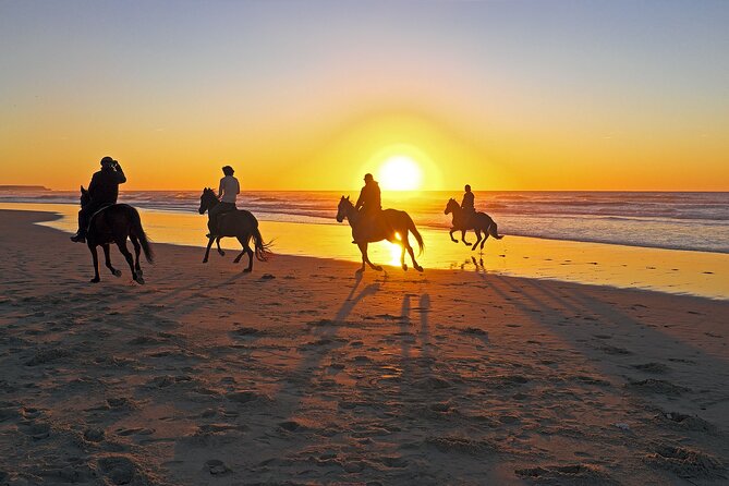 Horse Riding in Antalya,Belek,Lara Beach(Sunrise,Sunset,Day Time) - Who will enjoy this Antalya ride most