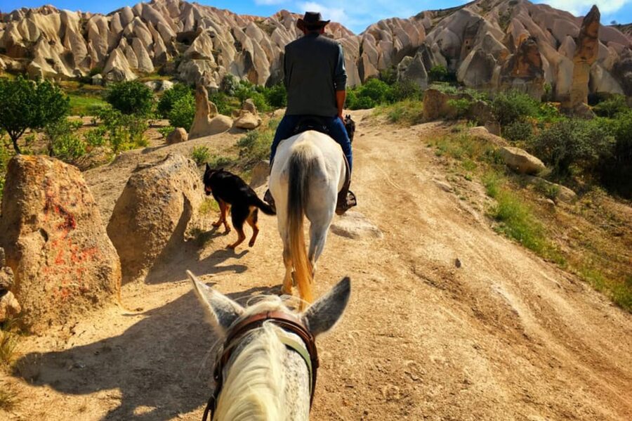 Horse Riding in Cappadocia - Meeting the horses and getting ready