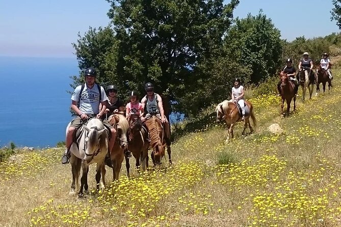 Horse Riding in Fethiye - Key points to know before you book