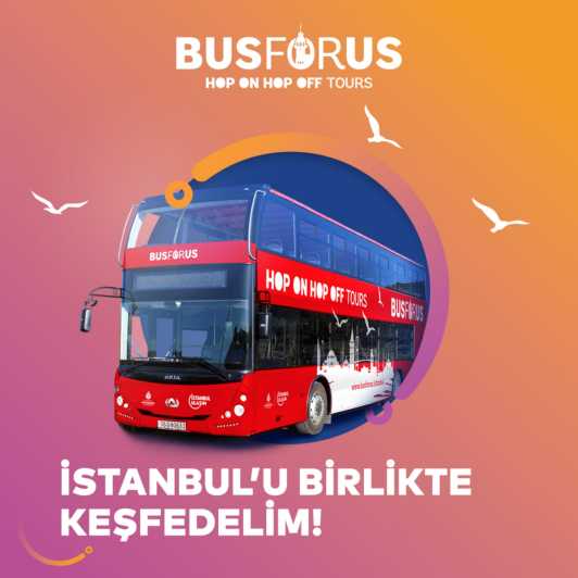 Istanbul: 48-Hour Hop-On Hop-Off Double Decker Bus Ticket - How the two routes really work
