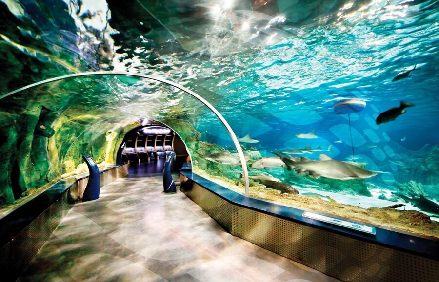 Istanbul Aquarium and Aqua Florya Shopping Mall Tour - From your hotel to Istanbul Aquarium