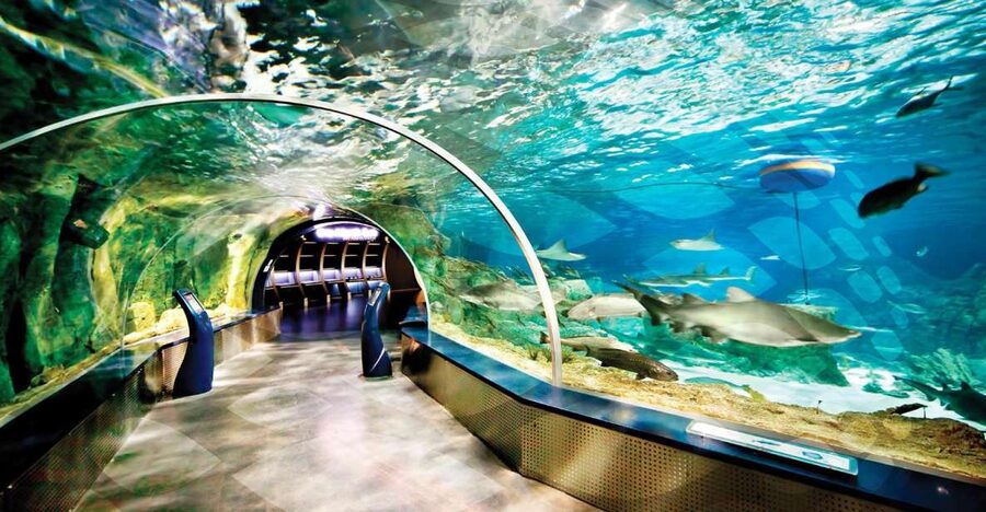 Istanbul Aquarium and Aqua Florya Shopping Mall Tour - Sharks, stingrays, and the Amazon rainforest