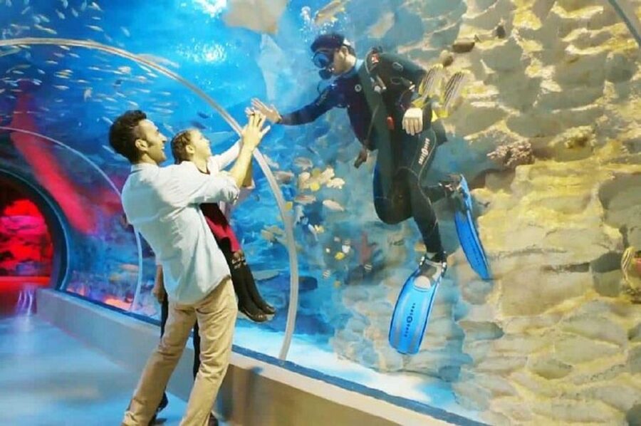 Istanbul Aquarium and Aqua Florya Shopping Mall Tour - Free time at Aqua Florya Shopping Mall
