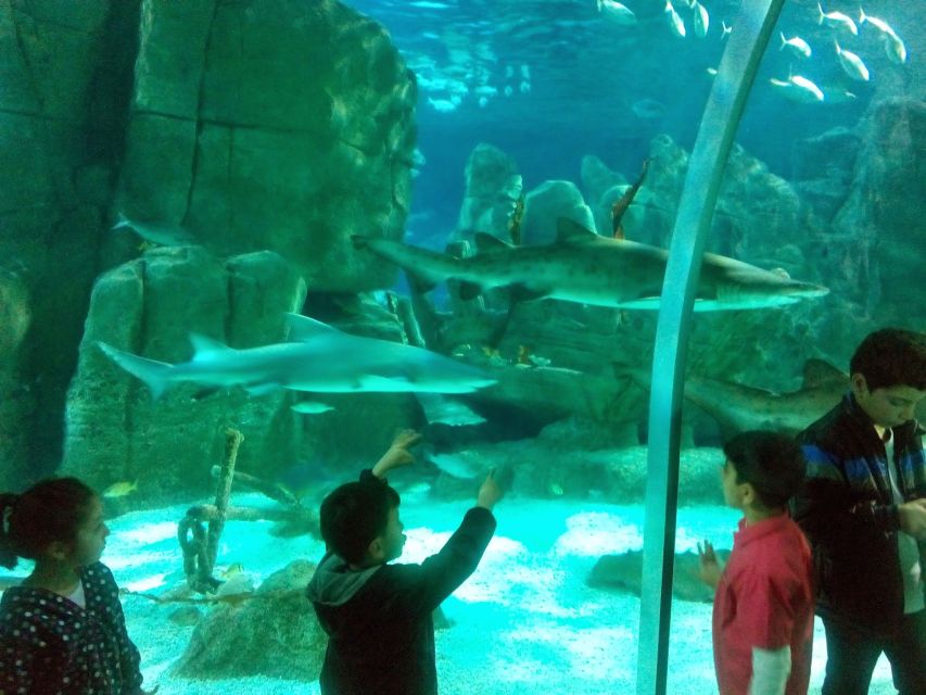 Istanbul Aquarium and Aqua Florya Shopping Mall Tour - Who will enjoy this five-hour outing?