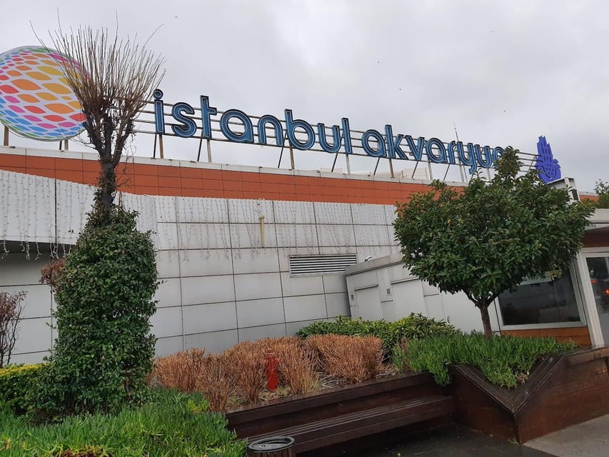 Istanbul: Aquarium Ticket and Round Trip Shuttle from Taksim - My verdict on the Istanbul Aquarium shuttle