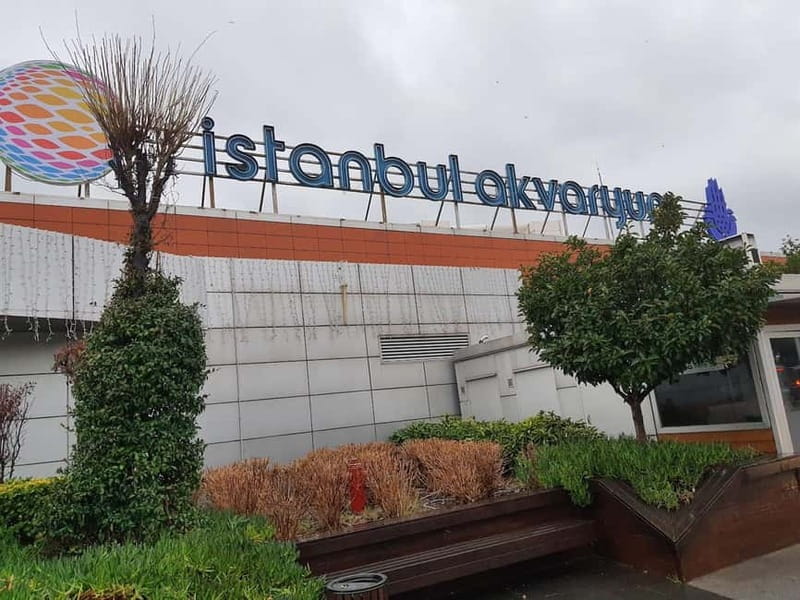 Istanbul: Aquarium Ticket and Round Trip Shuttle from Taksim - The animals worth making time for