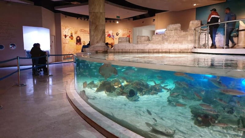 Istanbul: Aquarium Ticket and Round Trip Shuttle from Taksim - Is $33 a fair price?