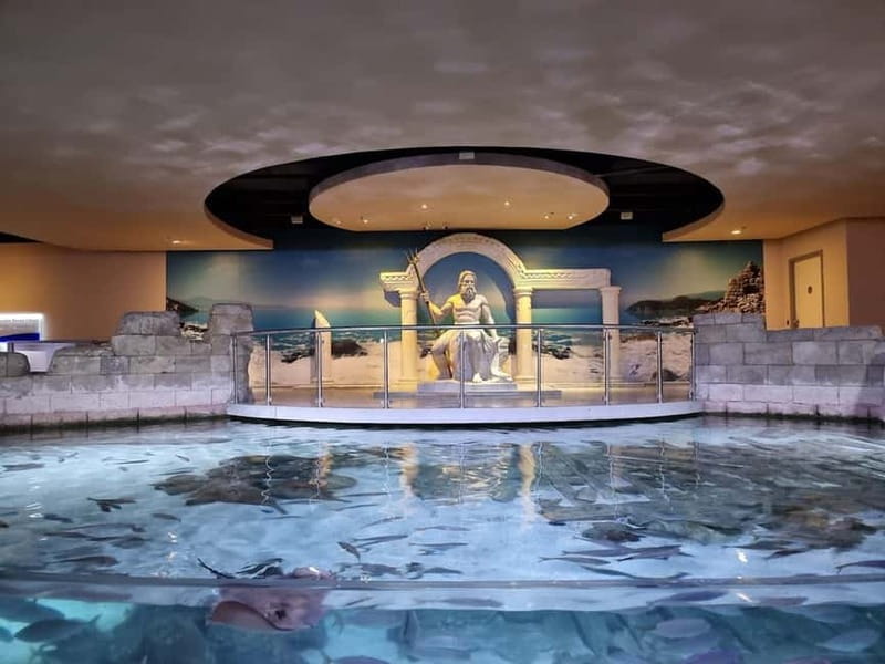 Istanbul: Aquarium Ticket and Round Trip Shuttle from Taksim - Who will enjoy this outing most