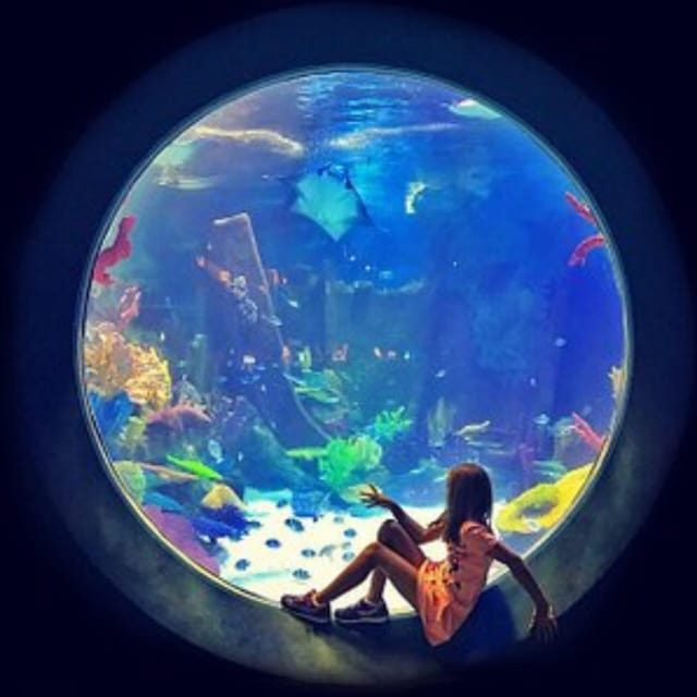 Istanbul: Aquarium Ticket with Shuttle Bus from Sultanahmet - How long should you stay?