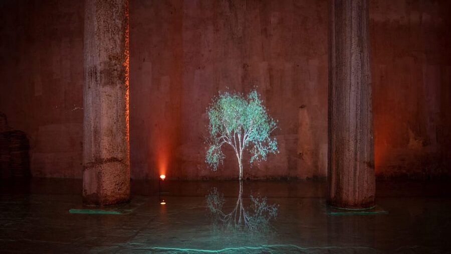 Istanbul: Basilica Cistern Skip-the-Ticket-Line Guided Tour - The guide makes the short format work