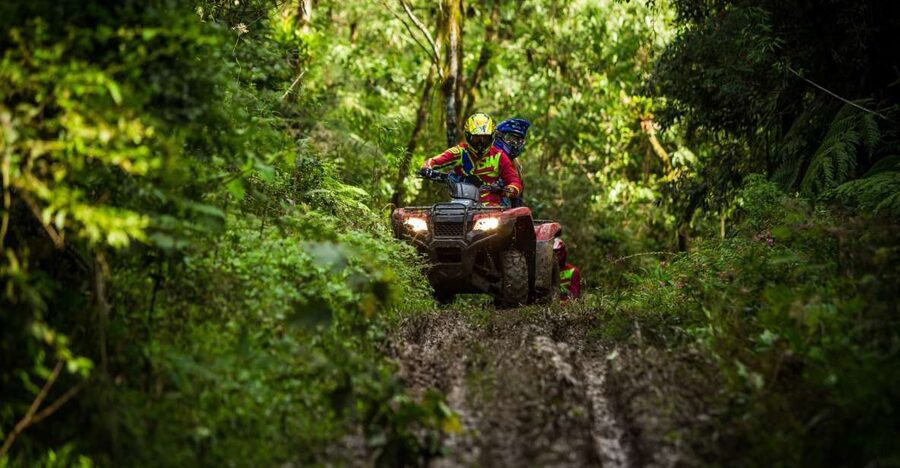 Istanbul: Belgrad Forest ATV Tour with Ziplining Option - Key points to know before booking