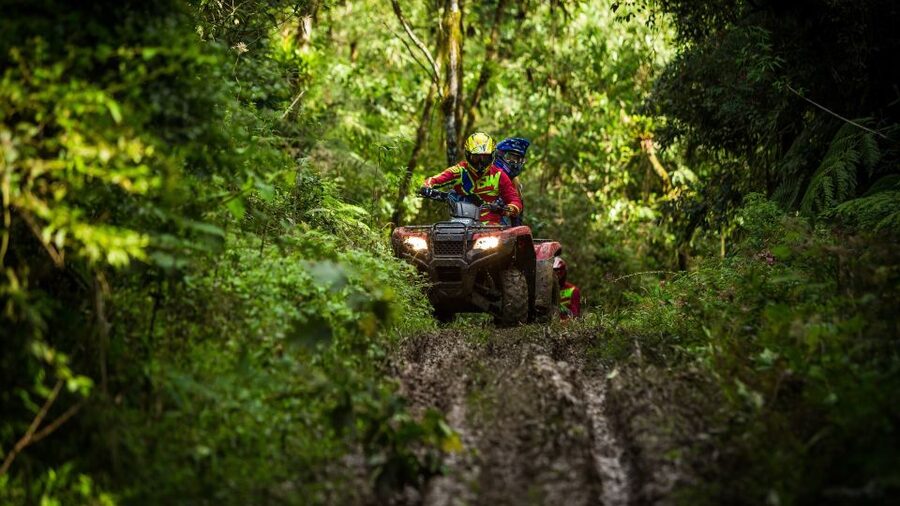 Istanbul: Belgrad Forest ATV Tour with Ziplining Option - From Sultanahmet or Taksim to Belgrad Forest