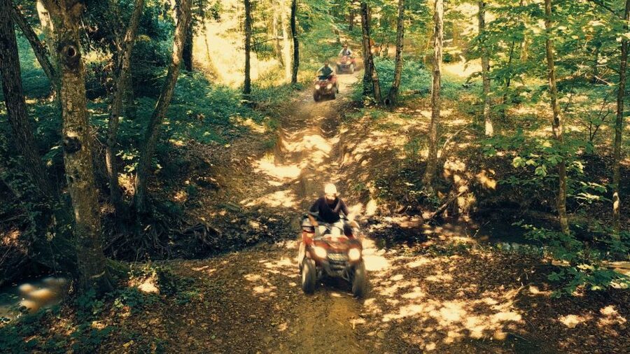 Istanbul: Belgrad Forest ATV Tour with Ziplining Option - What the 40-minute forest route feels like