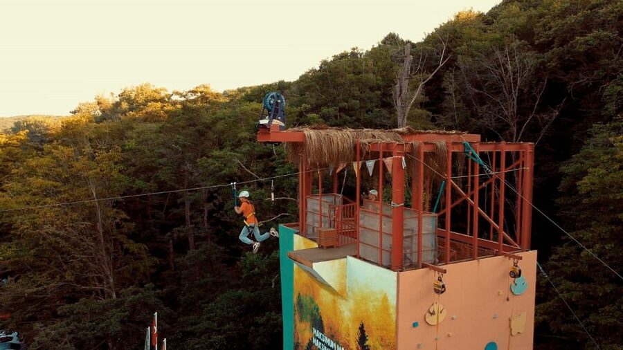 Istanbul: Belgrad Forest ATV Tour with Ziplining Option - Who will enjoy this outing most