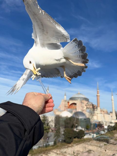 Istanbul: Best of The City Full-Day Tour with Transfers - The Basilica Cistern, an underground change of mood