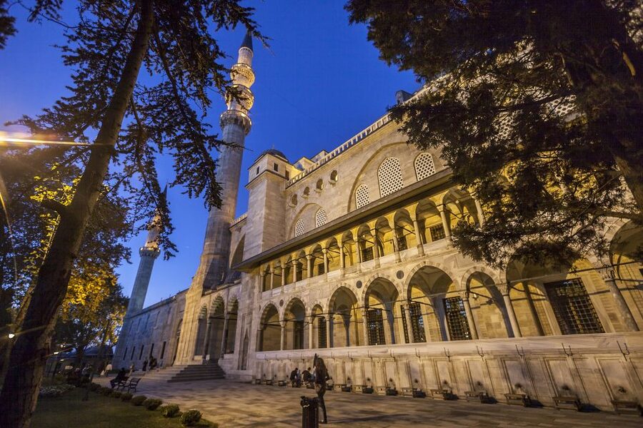 Istanbul: Best of the City Private Full-Day Walking Tour - Which guide style suits this day