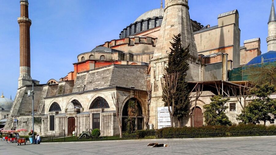 Istanbul: Blue Mosque & Hagia Sophia Guided Tour w/ Tickets - Timing, pace, and physical effort