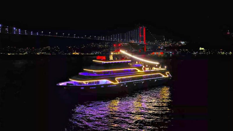 Istanbul: Bosphorus Dinner Cruise & Show with Private Table - The meal: Turkish starters, grilled mains, and dessert