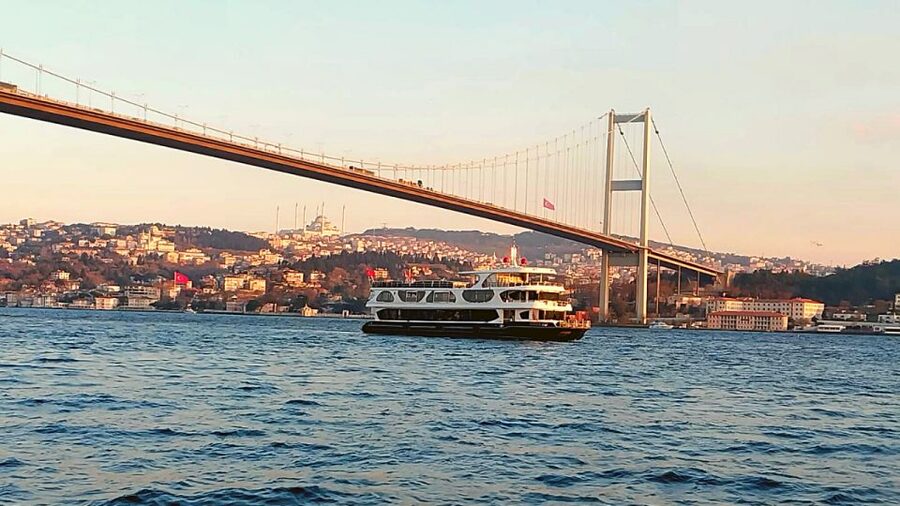 Istanbul: Bosphorus Dinner Cruise with Drinks & Turkish Show - A night on the Bosphorus, with dinner and a stage show