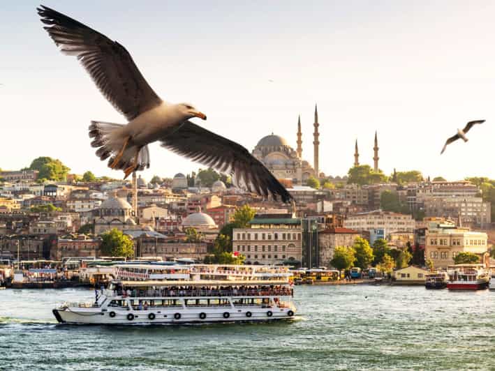 Istanbul: Bosphorus Dinner Cruise with Private Table & Show - The waterfront sights you can see from your table