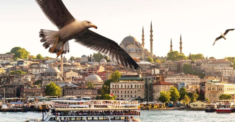 Istanbul: Bosphorus Dinner Cruise with Private Table & Show - Boarding with a hotel pickup from central districts