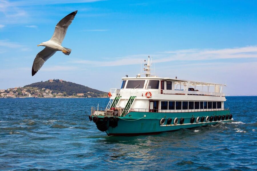 Istanbul: Bosphorus Strait Sightseeing Cruise & Audio Guide - Boat comfort, timing, and family appeal