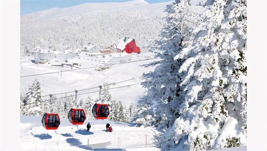 Istanbul: Bursa & Uludag Mountain Day Trip w/ Opt. Cable Car - The guides can shape the whole experience